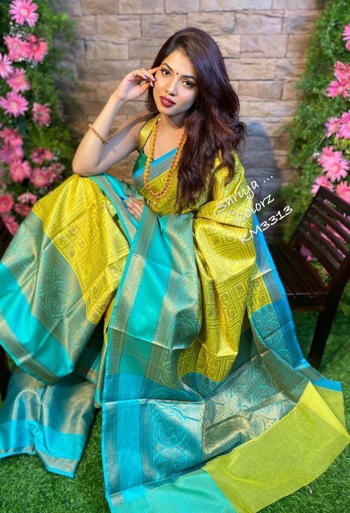 Soft Lichi Silk Saree with Artistic Pallu and Blouse Design