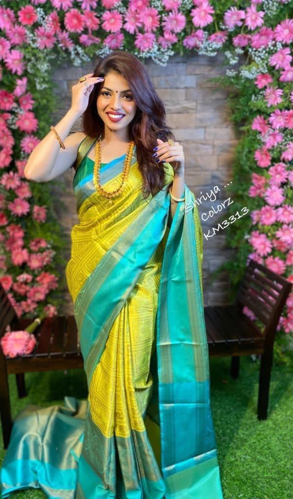 Soft Lichi Silk Saree with Artistic Pallu and Blouse Design