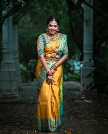 Sophisticated Lichi Silk Saree with Elegant Blouse Detailing
